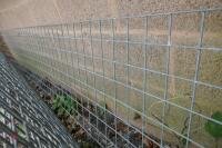 5 SHEETS OF 10' X 2' WIRE MESH - 6