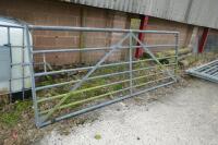 10' GALVANISED GATE - 8