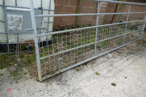 IAE 12' GALVANISED GATE