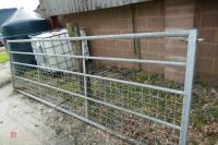 IAE 12' GALVANISED GATE - 3