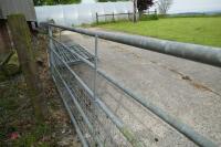 IAE 12' GALVANISED GATE - 4