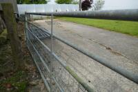 IAE 12' GALVANISED GATE - 6