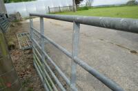 8' GALVANISED YARD GATE