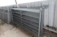 7 GALVANISED SHEEP HURDLES - 3