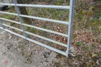 8' GALVANISED YARD GATE - 8