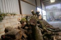 LARGE QTY FIREWOOD - 4