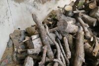 LARGE QTY FIREWOOD - 12