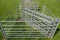 8 GALVANISED 6' SHEEP HURDLES - 4