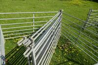 8 GALVANISED 6' SHEEP HURDLES - 7