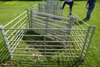 8 GALVANISED 6' SHEEP HURDLES - 2