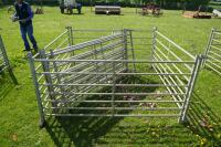 8 GALVANISED 6' SHEEP HURDLES - 3