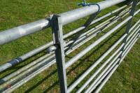 GALVANISED 12' GATE - 2