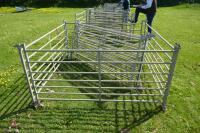 7 GALVANISED 6' SHEEP HURDLES - 4