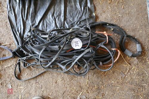 VARIOUS LEATHER BRIDLES (NO BITS)