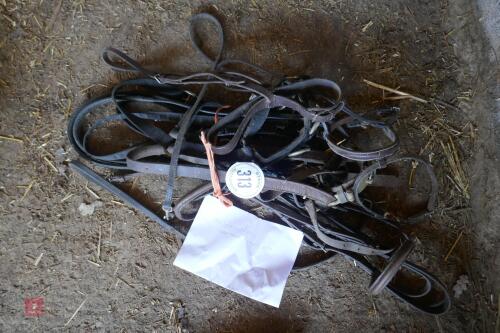 MISCELLANEOUS LEATHER BRIDLES