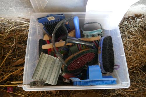 BOX OF VARIOUS EQUINE BRUSHES