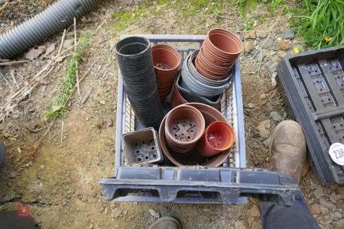 VARIOUS PLASTIC PLANT POTS & TRAYS