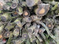 PILE OF OAK TIMBER (4) - 9