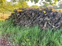 PILE OF OAK TIMBER (4) - 10