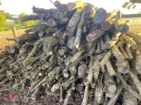 PILE OF LOGS/TIMBER (3) - 2