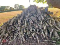 PILE OF LOGS/TIMBER (3) - 6