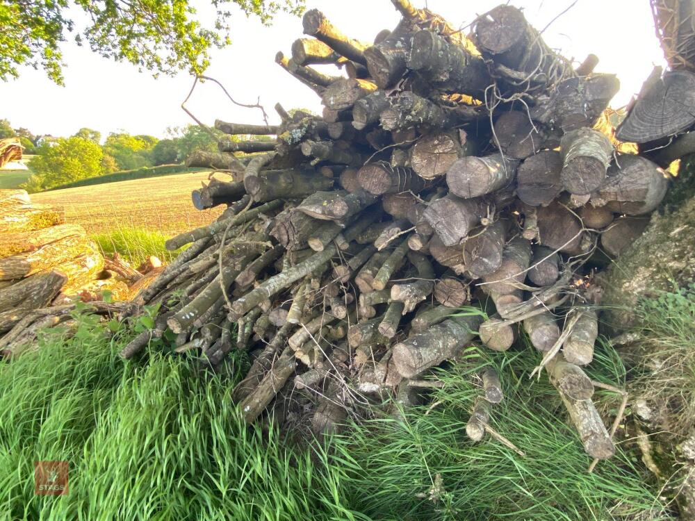 PILE OF LOGS/TIMBER (2)