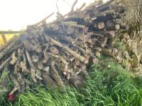 PILE OF LOGS/TIMBER (2) - 3