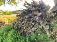 PILE OF LOGS/TIMBER (2) - 4