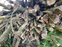 PILE OF LOGS/TIMBER (2) - 5