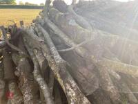 PILE OF LOGS/TIMBER (2) - 6