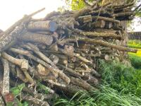 PILE OF LOGS/TIMBER (2) - 9