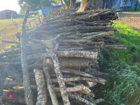 PILE OF LOGS/TIMBER (2) - 10