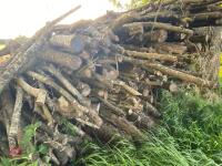 PILE OF LOGS/TIMBER (2) - 11