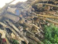 PILE OF LOGS/TIMBER (2) - 12