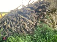 PILE OF LOGS/TIMBER (2) - 15