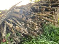 PILE OF LOGS/TIMBER (2) - 16