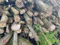 PILE OF LOGS/TIMBER (2) - 17