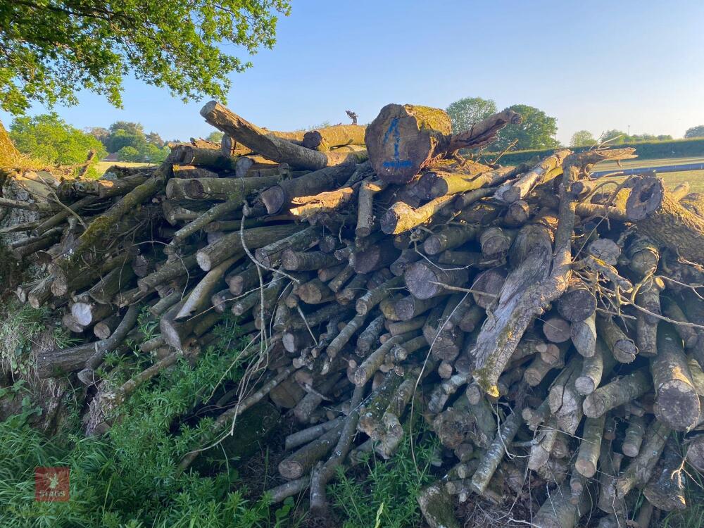 PILE OF LOGS/TIMBER (1)