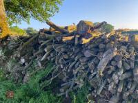 PILE OF LOGS/TIMBER (1) - 4