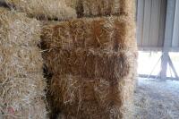 45 CONVENTIONAL BALES OF WHEAT STRAW