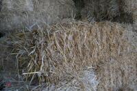 45 CONVENTIONAL BALES OF WHEAT STRAW - 5