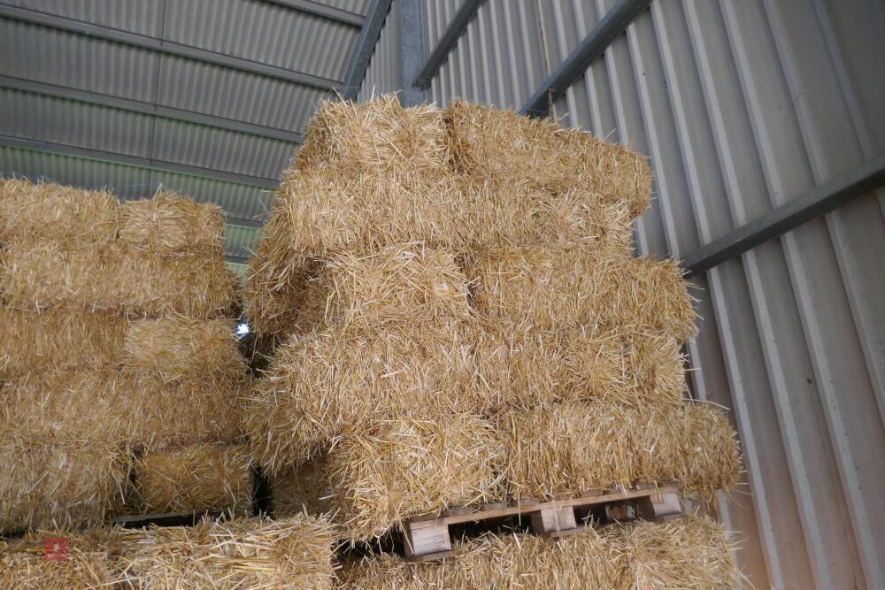 45 CONVENTIONAL BALES OF WHEAT STRAW