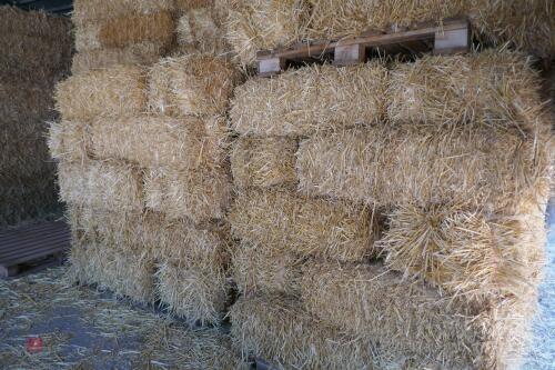 45 CONVENTIONAL BALES OF WHEAT STRAW