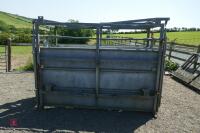 GALVANISED CATTLE CRUSH