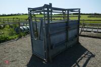 GALVANISED CATTLE CRUSH - 2