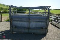 GALVANISED CATTLE CRUSH - 6