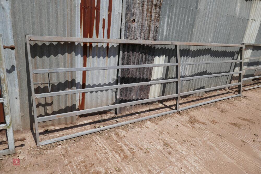 GALVANISED 14' BOX METAL YARD GATE