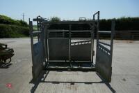 BATEMAN GALVANISED CATTLE CRUSH - 4