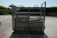 BATEMAN GALVANISED CATTLE CRUSH - 11