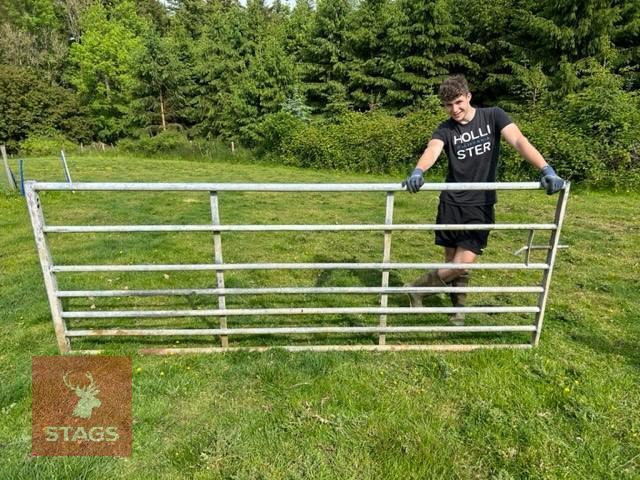 10FT GALVANISED FARM GATE